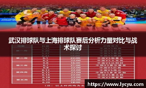 武汉排球队与上海排球队赛后分析力量对比与战术探讨