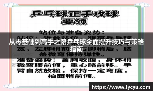 从零基础到高手之路乒乓球全面提升技巧与策略指南