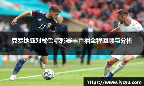 克罗地亚对秘鲁精彩赛事直播全程回顾与分析