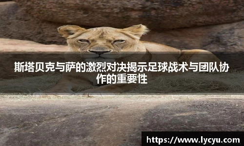 斯塔贝克与萨的激烈对决揭示足球战术与团队协作的重要性